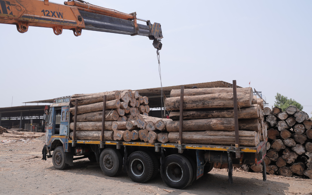sawn wood