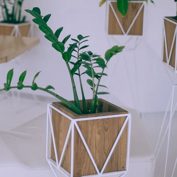 sapele-pot-cover-min