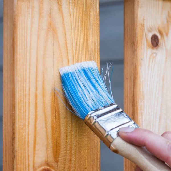 spruce-polishing