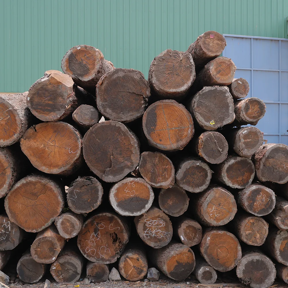 BFP Log Wood